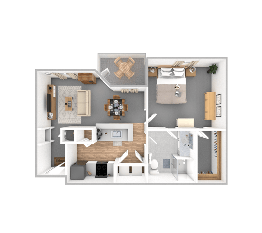CHMK_American Elm_0004